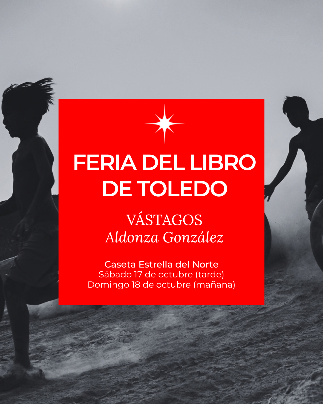 Feria del Libro de Toledo